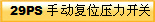 29PS ք(dng)(f)λ_P(gun) 