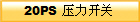 20PS _P(gun) 